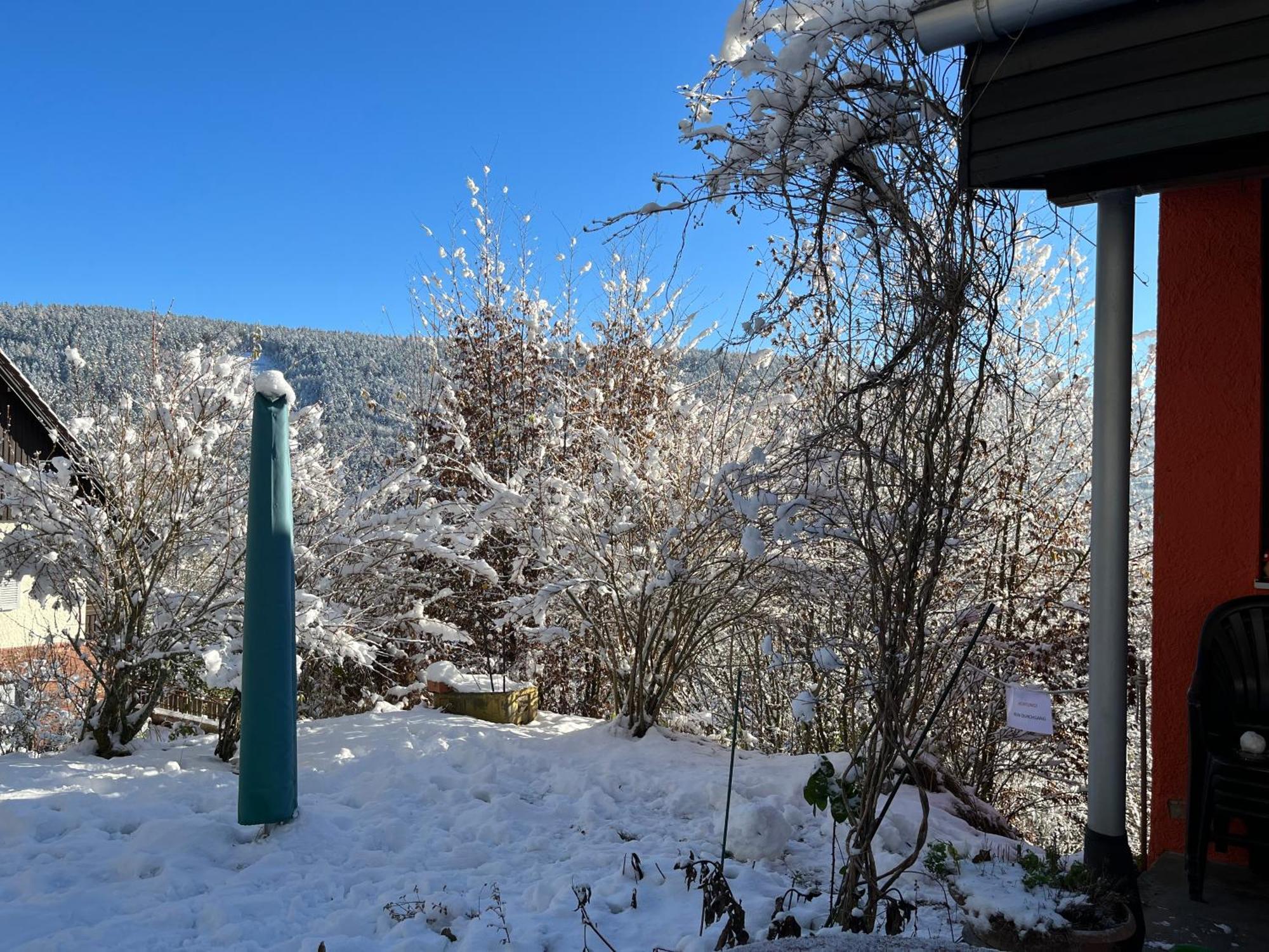 Waldhaus Max Apartment Bad Wildbad Bagian luar foto